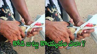 How to Crop  Rooster Comb Dubbing @neelimafarms2955