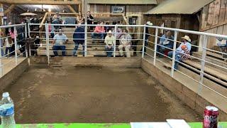 HORSE SALE APRIL 222023