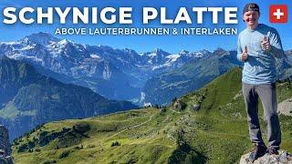 Guide to Schynige Platte  Alphorns Edelweiss Swiss Food & Hiking near Grindelwald & Interlaken