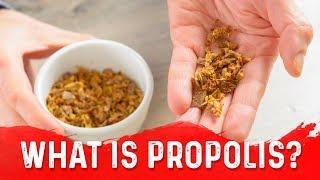 The Unique Benefits of Propolis Bee Glue – Dr.Berg