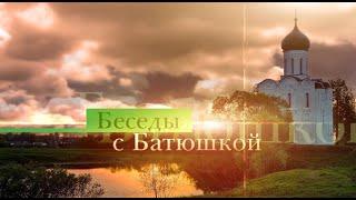 Беседы с батюшкой 24 августа 2023 года