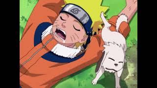 Akamaru pees on Naruto