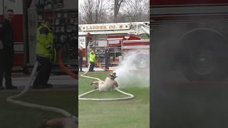 Man loses control of fire hose badly