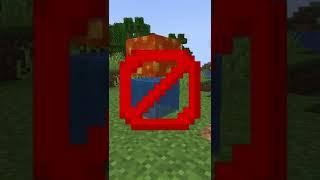 Minecraft water and lava secret feature...