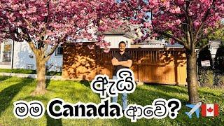 ඇයි මම Canada ආවේ?  Review  Why Canada?  New  Canada Situation  Sinhala Vlog  Sri Lankan 