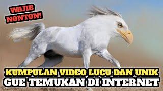 Kumpulan Video Lucu dan Unik Yang Saya Temukan Di Internet #10