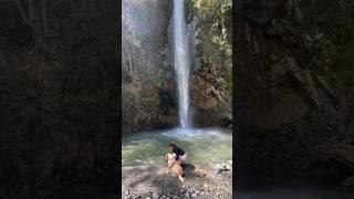 We drove 8 hours with pur Dog to see this hidden waterfall near Delhi ️