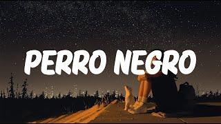 Bad Bunny x Feid - PERRO NEGRO LetraLyrics