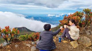 Pendakian Gunung Gede Tektok Via Putri  Dipandu oleh @ Meidian Prana dari Weekend Traveller ID