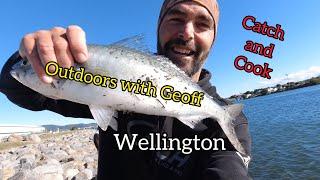 Wellington Catch and Cook  Greenlip Mussels and Kahawai  with Geoff