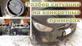 Корейская ДРИСТНЯ КАТАЛИЗАТОРОМ - ВСЕ факты на 2019 год