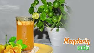 Mandarin Naran  Juice