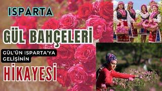 Isparta Gül Bahçeleri ve GÜLÜN ISPARTAYA GELİŞİNİN HİKAYESİ