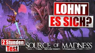 Eine Kaufempfehlung? - Die ersten 2 Stunden von Source of Madness - Gameplay Test Deutsch