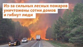 Из-за сильных лесных пожаров уничтожены сотни домов и гибнут люди  Сибирь.Реалии