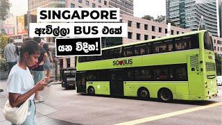 Getting Around Singapore by Bus  Public Transport in Singapore - Part 1 Sinhala