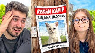 KEDİM KAYBOLDU  Bulana 25.000 TL Ödül Dolandırıldım