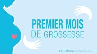 Premier mois de grossesse - Mois 1 de grossesse - La grossesse mois par mois