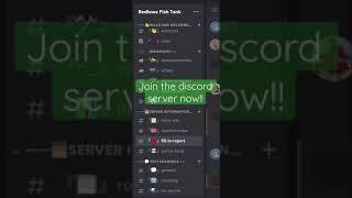 Join the discord server now