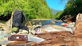 WILD TROUT Fishing in MOUNTAIN RIVER Catch Cook Camp