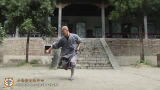 Qi Xing Quan - Shifu Yan Chong