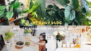 DAILY VLOG IBU RUMAH TANGGA   kegiatan sehari-hari ibu rumah tangga di rumah minimalis aesthetic