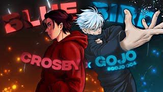 GOJO x CROSBY  Blue Bird Open Collab EditAMV #gojooc4