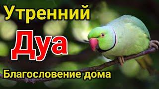 утренний дуа. дуа каждое утро