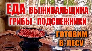 ЕДА ВЫЖИВАЛЬЩИКА автономщика ВЕСНОЙ. Готовим в лесу самые первые весенние грибы - подснежники.