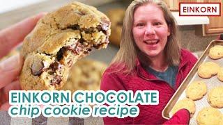 Einkorn Chocolate Chip Cookies  Last Minute Road Trip Baking