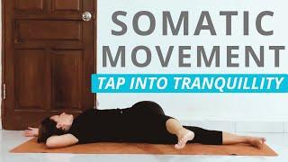 Somatic Movement for Beginners to Calm Your Mind and Body  15 Min  Jaz Pilates 