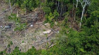 Brazil  isolated tribe discovered in Amazon