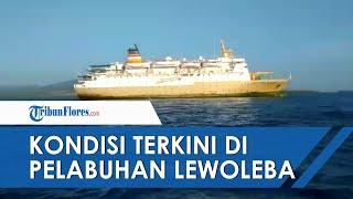 LIVE UPDATE  Kondisi Terkini di Pelabuhan Lewoleba Kabupaten Lembata