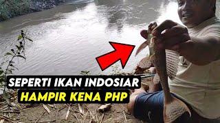 IKAN TAWES NGACO  Lihatlah Aksi Mancing Mawut Menaklukkan Ikan Mirip Ikan Indosiar