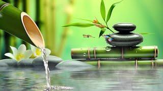 Relaxing Zen Music - Bamboo Relaxing Music Meditation Music Peaceful Music Nature Sounds Spa