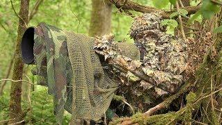 BIRD PHOTOGRAPHY in the forest  Wildlife photography behind the scenes - Nikon Z7 FTZ camouflage