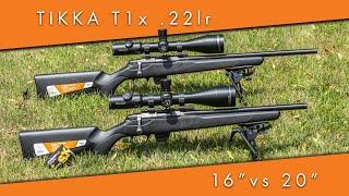 Короткий или длинный? 16 ствол против 20 ствола в модели Tikka T1x