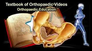 Textbook Of Orthopaedic Videos - Everything You Need To Know - Dr. Nabil Ebraheim