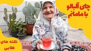 چای آلبالو _نکته های طلاایی مامان گلم