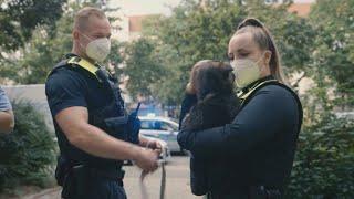 Puppy trafficking in Europe a well-organised mafia • FRANCE 24 English