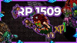 RP 1509 Hunt Solo Pumin Seal 9kkh Raw + 3.1kk Profit - Tibia Hunt 13.34 #tibia #tibiahunt