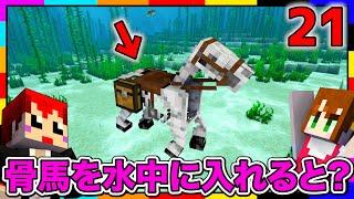 【マイクラ】誰も知らない骨馬の隠された能力！知ってた！？【あかがみんクラフトGO赤髪のともマインクラフト】#21