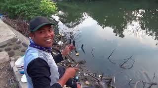 Status wa lucu by asal mancing