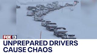 Mountains of snow miles of delays Unprepared drivers cause chaos