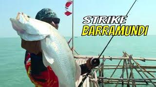 Berburu Strike Barramundi Di Rumpon Perairan Demak  MANCING MANIA STRIKE BACK 300923 Part 1