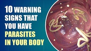 Dont Ignore These Early Symptoms of Parasites In Your Body