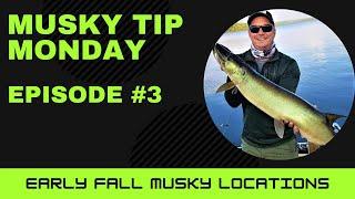 Musky Tip Monday #3 - Early Fall Musky Fishing Locations