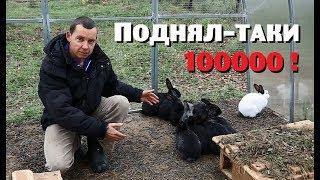 ВСЁ-ТАКИ ПОДНЯЛ 100000 руб.на кроликах