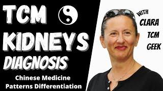 Chinese Medicine Diagnosis the Kidneys Inquiry Method