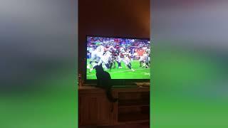 JOJO The GreyCup Cat Attacker